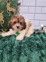 processed/c47b6f69-b6e8-4a46-838a-e6d19d7e7416/listing/b256f053-bde9-4029-abea-2b3fd95311e6/1486ee2f-7813-4154-9e25-503a523e9198