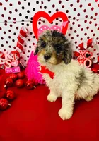 processed/c47b6f69-b6e8-4a46-838a-e6d19d7e7416/listing/b85a6cb4-aad2-41cf-9ada-af412e45b233/52782a07-4dbf-4611-b7ba-4abb6cc12689