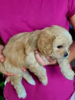 processed/c47db095-15f2-4536-af4f-609f660dfebf/listing/d25c0626-d64e-4f68-898a-43526b169656/a5e4287a-305f-41ba-8e94-b0eafccff8ab