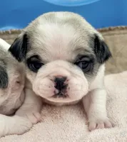 processed/c4813bdf-ef0f-4bf0-afca-4164916716a1/listing/136ff938-8293-421a-9b51-82ee5e61ec33/45bb94c2-aedc-43f5-8740-76a8fcb620e8