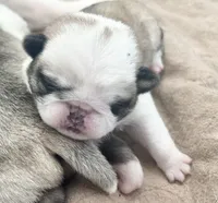 processed/c4813bdf-ef0f-4bf0-afca-4164916716a1/listing/3434ae01-b39a-4c3a-8ef1-8e2e890de122/011908f6-ebeb-4a1b-a054-a8fcffcf0f50