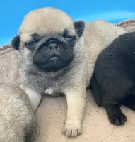 processed/c4813bdf-ef0f-4bf0-afca-4164916716a1/listing/50339dc8-58d6-4c69-bfd1-e7d0a3e2a8c2/560cf54c-4588-43e8-88de-16f282b70c26