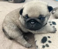 processed/c4813bdf-ef0f-4bf0-afca-4164916716a1/listing/50339dc8-58d6-4c69-bfd1-e7d0a3e2a8c2/63195a75-7142-41d4-aac5-7e2b94af20a3