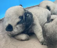 processed/c4813bdf-ef0f-4bf0-afca-4164916716a1/listing/5ae8d471-13b2-4fb3-b1f1-b7e11891929d/5aa24d7c-a633-432f-985a-b67fd35e8f7a