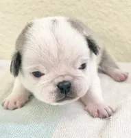 processed/c4813bdf-ef0f-4bf0-afca-4164916716a1/listing/7e820e53-3bb1-4786-ba3f-798333afb0f8/289e7f79-6b2e-47f8-bb25-e2c4dcc71973