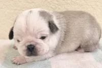 processed/c4813bdf-ef0f-4bf0-afca-4164916716a1/listing/7e820e53-3bb1-4786-ba3f-798333afb0f8/5d6cb100-b380-47fa-8a80-7c988bc2debd