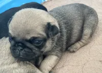 processed/c4813bdf-ef0f-4bf0-afca-4164916716a1/listing/9a2c61db-3baf-496a-b59f-e8245ae7485b/20a2eb58-8e3e-4136-9e80-21286647ddac