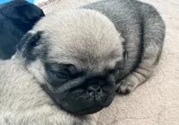 processed/c4813bdf-ef0f-4bf0-afca-4164916716a1/listing/9a2c61db-3baf-496a-b59f-e8245ae7485b/af812df7-2b79-44cd-9a58-448e3cbfd010