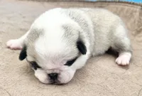 processed/c4813bdf-ef0f-4bf0-afca-4164916716a1/listing/bfa527fb-b939-4b8c-adb2-289576dc5d27/2c7f5344-7fac-4294-a252-8cb044ec88e8