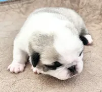 processed/c4813bdf-ef0f-4bf0-afca-4164916716a1/listing/bfa527fb-b939-4b8c-adb2-289576dc5d27/77dfe09a-1638-4318-a400-73cf12685335