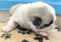 processed/c4813bdf-ef0f-4bf0-afca-4164916716a1/listing/bfa527fb-b939-4b8c-adb2-289576dc5d27/cefebcfc-436b-4462-b8cb-d71b9c4242c4