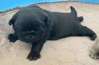 processed/c4813bdf-ef0f-4bf0-afca-4164916716a1/listing/da831d61-a750-4ca5-8176-dbf7ef3bf4a9/0fe36939-5e74-4909-a9e4-409a0d590616