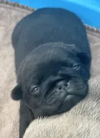 processed/c4813bdf-ef0f-4bf0-afca-4164916716a1/listing/da831d61-a750-4ca5-8176-dbf7ef3bf4a9/75318bad-aaf9-4326-a30c-b7b12c7e53e1