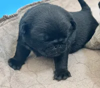 processed/c4813bdf-ef0f-4bf0-afca-4164916716a1/listing/da831d61-a750-4ca5-8176-dbf7ef3bf4a9/8de492ad-93df-4775-9b8f-93a72f8189eb