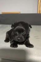 processed/c48343bc-577d-4d2a-aca6-e5eaa58227db/listing/170efd4c-a157-4b9d-ab7f-3cd2a75600e9/21d94f55-202e-4277-9c01-a89619fe436e