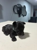 processed/c48343bc-577d-4d2a-aca6-e5eaa58227db/listing/170efd4c-a157-4b9d-ab7f-3cd2a75600e9/5b9f65d9-8905-4057-b93d-11d0ca69e02a