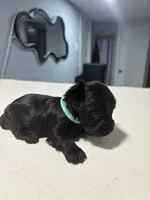 processed/c48343bc-577d-4d2a-aca6-e5eaa58227db/listing/170efd4c-a157-4b9d-ab7f-3cd2a75600e9/7116242a-3d05-4084-b3ab-9f2efe0c6138