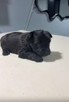 processed/c48343bc-577d-4d2a-aca6-e5eaa58227db/listing/170efd4c-a157-4b9d-ab7f-3cd2a75600e9/f6ff36db-b5f8-4895-b065-a69f9419d070