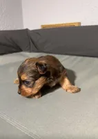 processed/c48343bc-577d-4d2a-aca6-e5eaa58227db/listing/30625d49-62cc-4f06-a8c9-2c3ae4b4045b/2449b622-1a38-4191-9a2d-2d9c8cf7a326