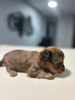 processed/c48343bc-577d-4d2a-aca6-e5eaa58227db/listing/30625d49-62cc-4f06-a8c9-2c3ae4b4045b/31704a49-5da1-4c7a-af89-f2ddd25a569a