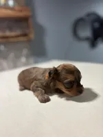 processed/c48343bc-577d-4d2a-aca6-e5eaa58227db/listing/30625d49-62cc-4f06-a8c9-2c3ae4b4045b/ee6f54af-af05-4ff3-a8fe-8bb0761d0d17