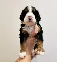 processed/c484fb4e-f5d3-44c6-89fd-2c57c45fdf55/facility/7cc6ff58-1914-44ee-b850-26d00c48d631