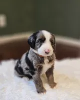 processed/c484fb4e-f5d3-44c6-89fd-2c57c45fdf55/facility/818c9492-47e0-414e-9f29-d054581a2f05