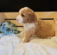 processed/c484fb4e-f5d3-44c6-89fd-2c57c45fdf55/facility/8a9fe71c-7d90-45f0-a59f-2aea2de44af5