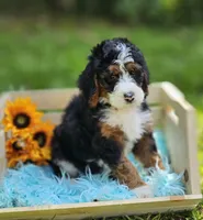 processed/c484fb4e-f5d3-44c6-89fd-2c57c45fdf55/facility/9d61f257-186d-413b-b911-0ba5495d8777