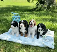 processed/c484fb4e-f5d3-44c6-89fd-2c57c45fdf55/facility/c914c799-0276-4628-a1d4-8e00ce0563a7