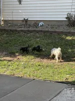 processed/c48a2693-3c5c-45f3-a902-37bccfe12ed4/facility/57e3990f-9a84-4da5-9524-a7be066a427b