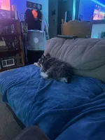 processed/c48a2693-3c5c-45f3-a902-37bccfe12ed4/facility/8b249037-8a1a-4b4a-99c9-99f39cd07761