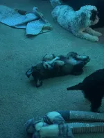 processed/c48a2693-3c5c-45f3-a902-37bccfe12ed4/facility/c1e194ea-9f3b-444f-aee7-e61db5a9170a