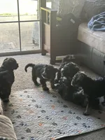 processed/c48a2693-3c5c-45f3-a902-37bccfe12ed4/facility/c6285e43-3923-46d0-88b5-430f2c92c7c7