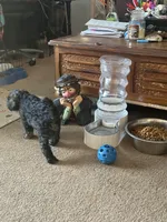 processed/c48a2693-3c5c-45f3-a902-37bccfe12ed4/facility/f09299b8-dd71-4ee5-a594-57d819c49683