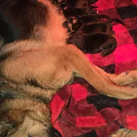 processed/c4a839f0-94ac-46fb-820e-d14f6632578e/facility/36b08c09-b5ba-480f-b31b-b32f0dddf888