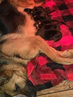 processed/c4a839f0-94ac-46fb-820e-d14f6632578e/facility/36b08c09-b5ba-480f-b31b-b32f0dddf888