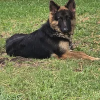 processed/c4a839f0-94ac-46fb-820e-d14f6632578e/facility/63e57763-431b-42dc-9f29-330c7f6707ac