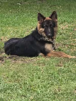 processed/c4a839f0-94ac-46fb-820e-d14f6632578e/facility/63e57763-431b-42dc-9f29-330c7f6707ac