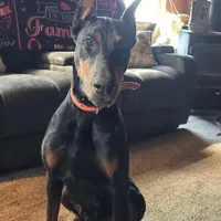 processed/c4a839f0-94ac-46fb-820e-d14f6632578e/facility/69864b7d-8d90-4630-bf6a-80a42c07b1ec