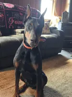 processed/c4a839f0-94ac-46fb-820e-d14f6632578e/facility/69864b7d-8d90-4630-bf6a-80a42c07b1ec