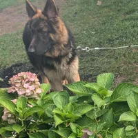 processed/c4a839f0-94ac-46fb-820e-d14f6632578e/facility/6eb7fda4-b1af-494e-afa5-94715cb18413