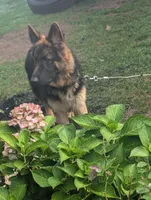 processed/c4a839f0-94ac-46fb-820e-d14f6632578e/facility/6eb7fda4-b1af-494e-afa5-94715cb18413