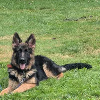 processed/c4a839f0-94ac-46fb-820e-d14f6632578e/facility/ad2da3d3-4cd2-423f-b15b-284bb271fbe1