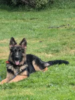 processed/c4a839f0-94ac-46fb-820e-d14f6632578e/facility/ad2da3d3-4cd2-423f-b15b-284bb271fbe1