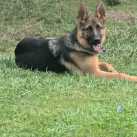 processed/c4a839f0-94ac-46fb-820e-d14f6632578e/facility/cdc561ca-6602-47db-a930-edd0a2cdf460