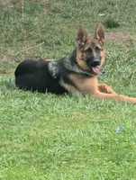 processed/c4a839f0-94ac-46fb-820e-d14f6632578e/facility/cdc561ca-6602-47db-a930-edd0a2cdf460