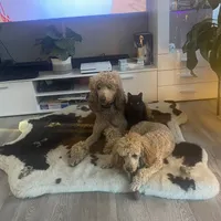 processed/c4b465fa-7184-4209-aec8-380f2bc9ac6a/facility/362ce299-a7a8-45f6-a06f-d887913718e7