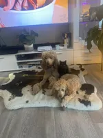 processed/c4b465fa-7184-4209-aec8-380f2bc9ac6a/facility/362ce299-a7a8-45f6-a06f-d887913718e7