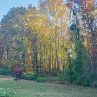 processed/c4b465fa-7184-4209-aec8-380f2bc9ac6a/facility/8b201ce2-44d7-470c-b389-42bfcc72ffc7